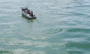 Photo of Landing craft