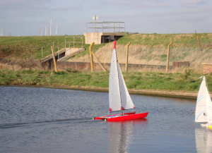 Catamaran Jaws 2